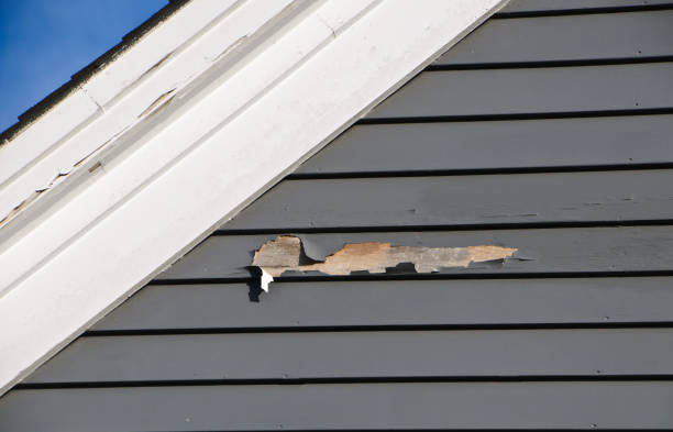 How To Choose The Right Materials for Your Siding Installation in 'Iyanbito, NM